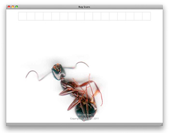 Bug Scan Site Screen Grab